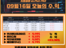 09월 16일 알파프로 매매일지 +23.09%